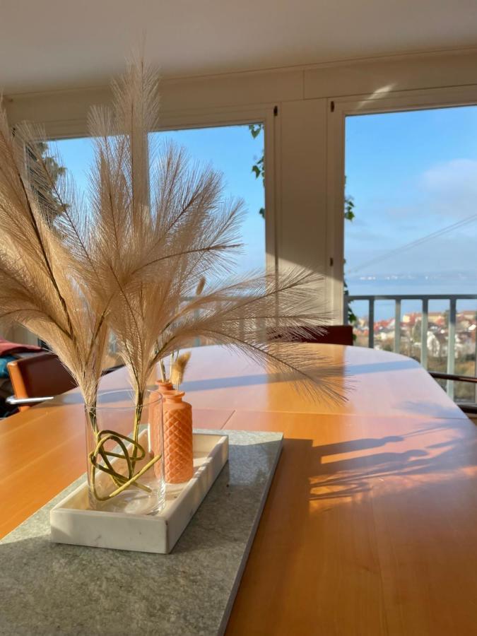 Villa Mit Traumhaftem Blick Uber Den Bodensee Bregenz Exteriér fotografie